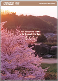  HD DVD 「virtual trip さくら nostalgia /music by Yasunobu Matsuo」