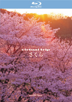 virtual trip ������ nostalgia �@�u���[���C