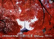 「Virtual trip 京都の紅葉」