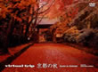 「Virtual trip 京都の秋」